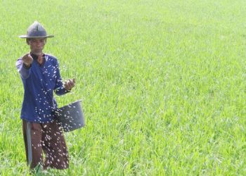 Subsidi Pupuk Direformasi, Menjadi Titik Balik Efisiensi Sektor Pupuk Nasional