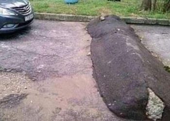 Waspadai Bahaya Kerusakan Dudukan Mesin Motor karena Sering Melindas Polisi Tidur