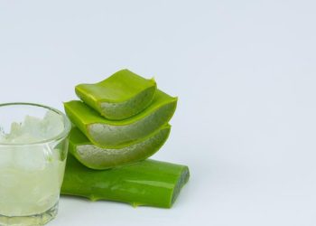 Ginseng, Kunyit, dan Lidah Buaya Dikenal Sebagai Herbal Global, Ini Penyebabnya