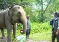 Menhut Raja Juli Pastikan Restorasi Konservasi Gajah Dimulai di Seblat Bengkulu