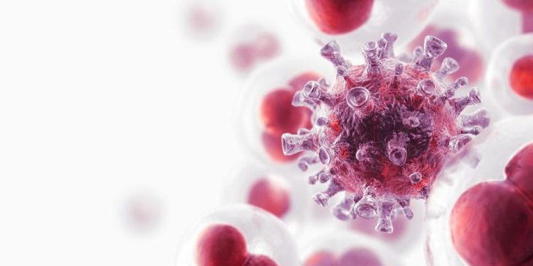 7 Makanan Sehari-hari yang Mampu Mencegah Serangan Kanker