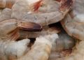 Bagian Udang yang Boleh dan Tidak Boleh Dimakan yang Wajib Diketahui