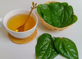 7 Manfaat Menakjubkan dari Air Rebusan Daun Sirih