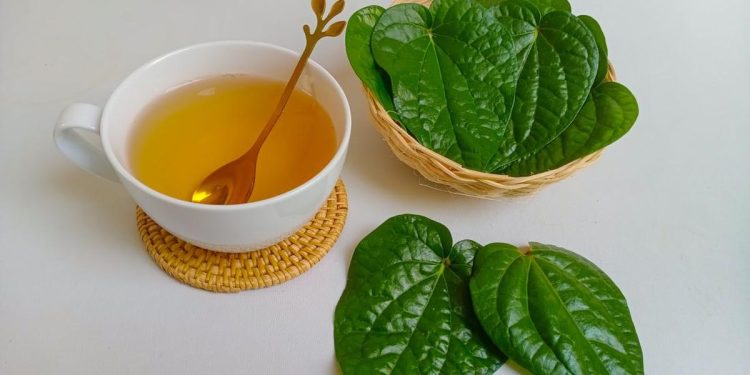 7 Manfaat Menakjubkan dari Air Rebusan Daun Sirih