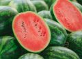Picu Masalah Kesehatan, 3 Kelompok yang Dilarang Makan Semangka