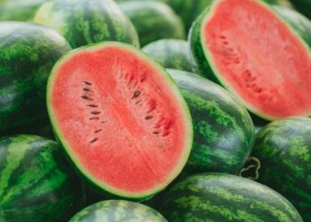 Picu Masalah Kesehatan, 3 Kelompok yang Dilarang Makan Semangka