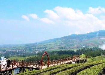 6 Tempat Wisata di Pangalengan Bandung yang Dingin dan Menenangkan