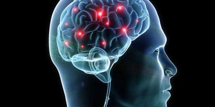 Diet Rendah Kalori Dapat Mencegah Penuaan Otak, Berikut Penjelasannya