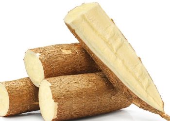 Bahaya Mengonsumsi Singkong Mentah yang Perlu Diketahui