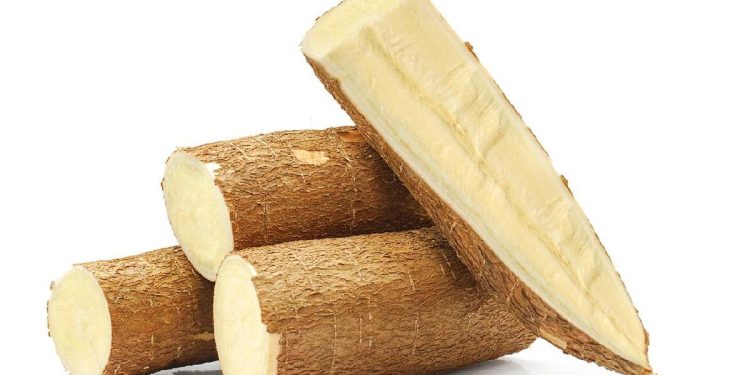 Bahaya Mengonsumsi Singkong Mentah yang Perlu Diketahui