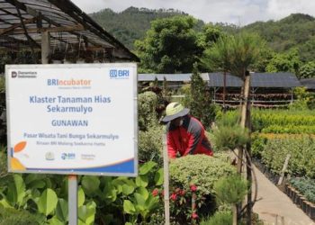 BRI Dukung 42 Ribu Klaster Usaha Melalui Pemberdayaan